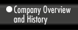 Company Overview and History