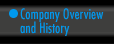 Company Overview and History